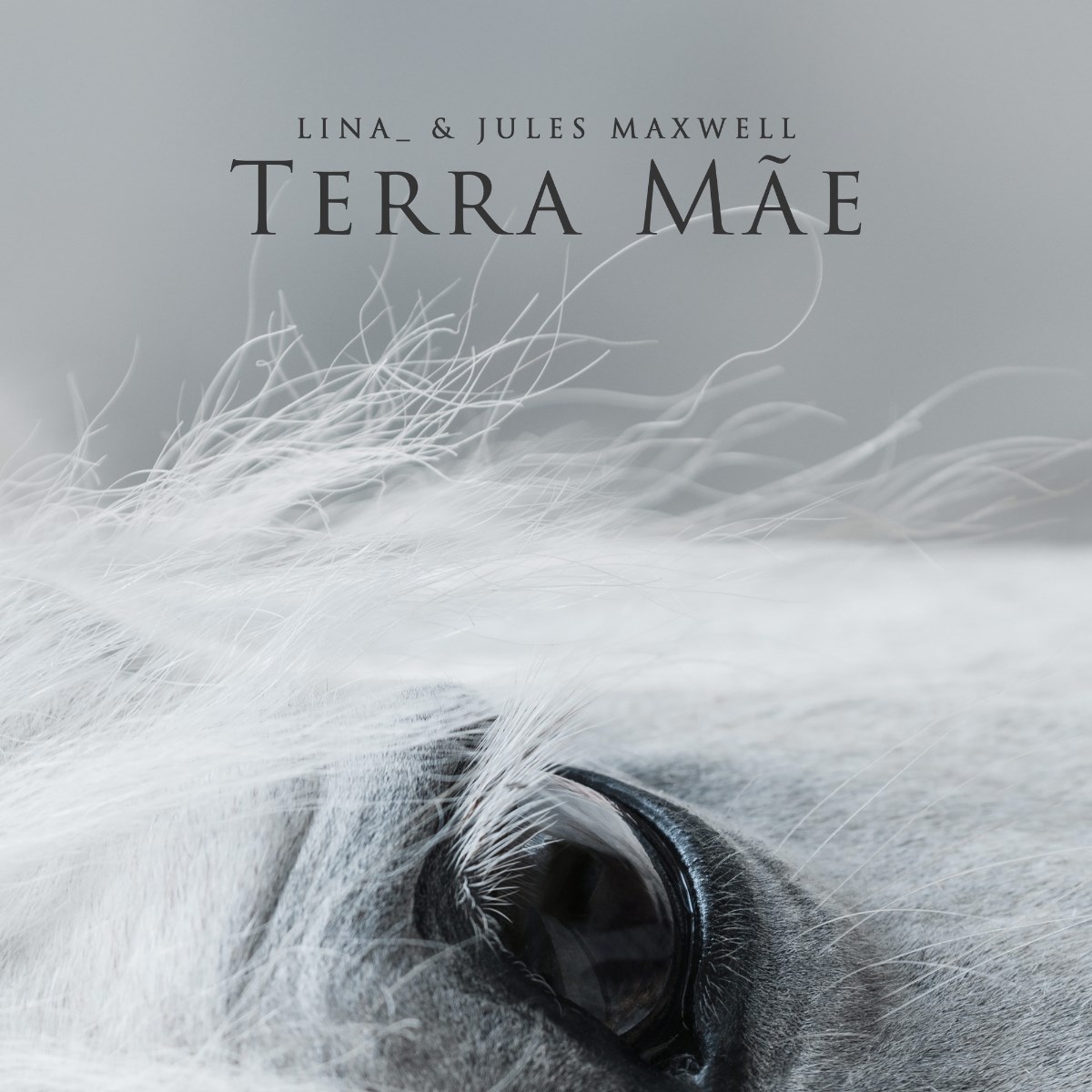 Lina & Jules Maxwell - Terra Mae
