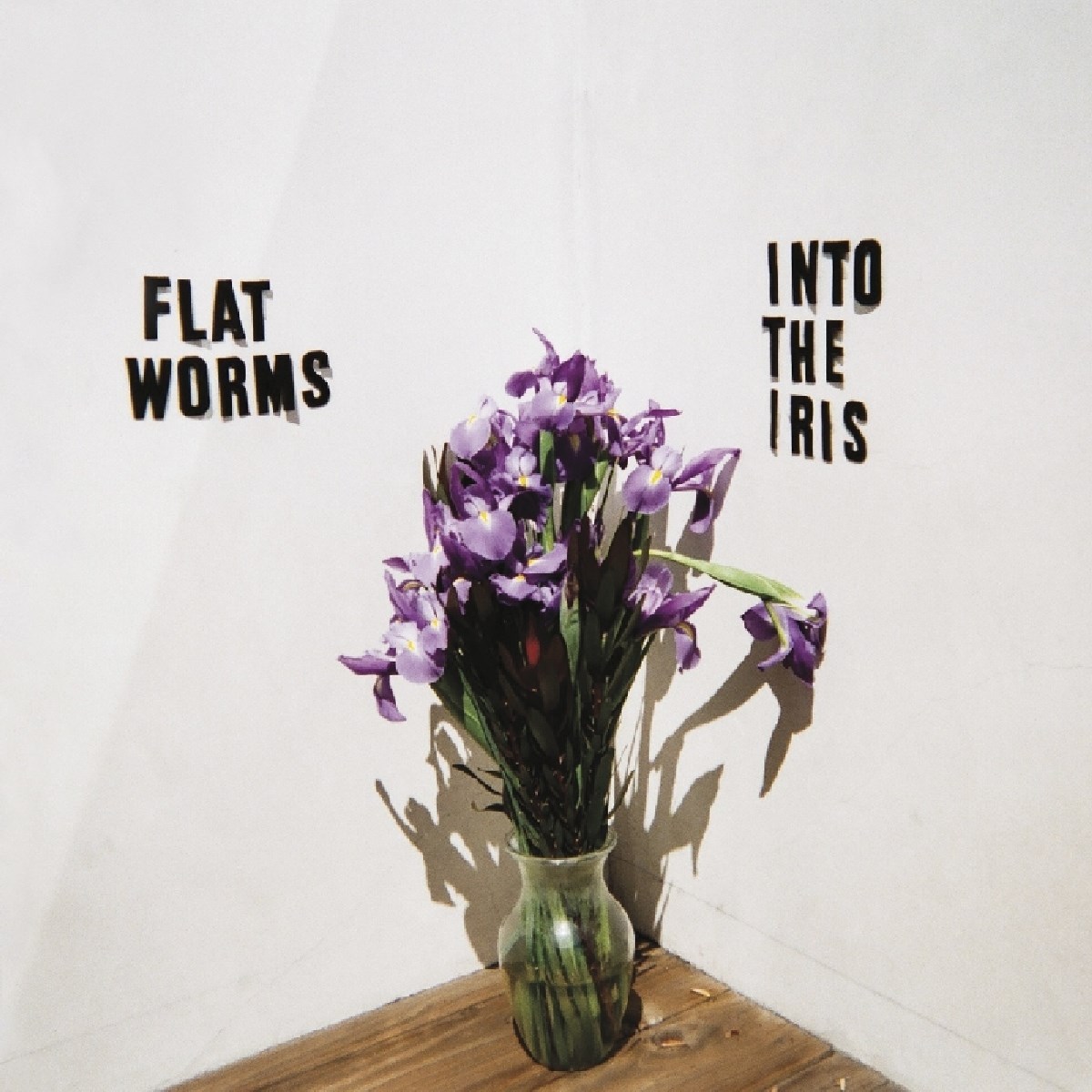 Afbeelding van Flat Worms - Into The Iris