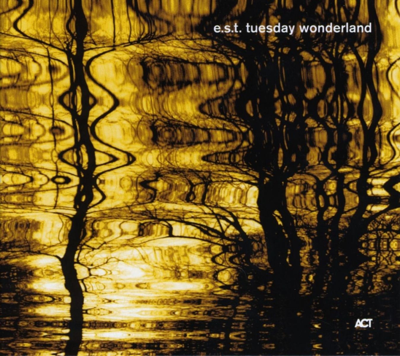 E.S.T. Esbjörn Svensson Trio - Tuesday Wonderland