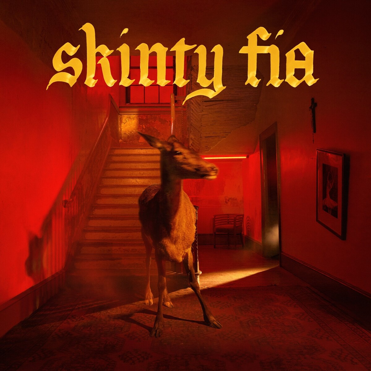 Afbeelding van Fontaines D.C. - Skinty Fia