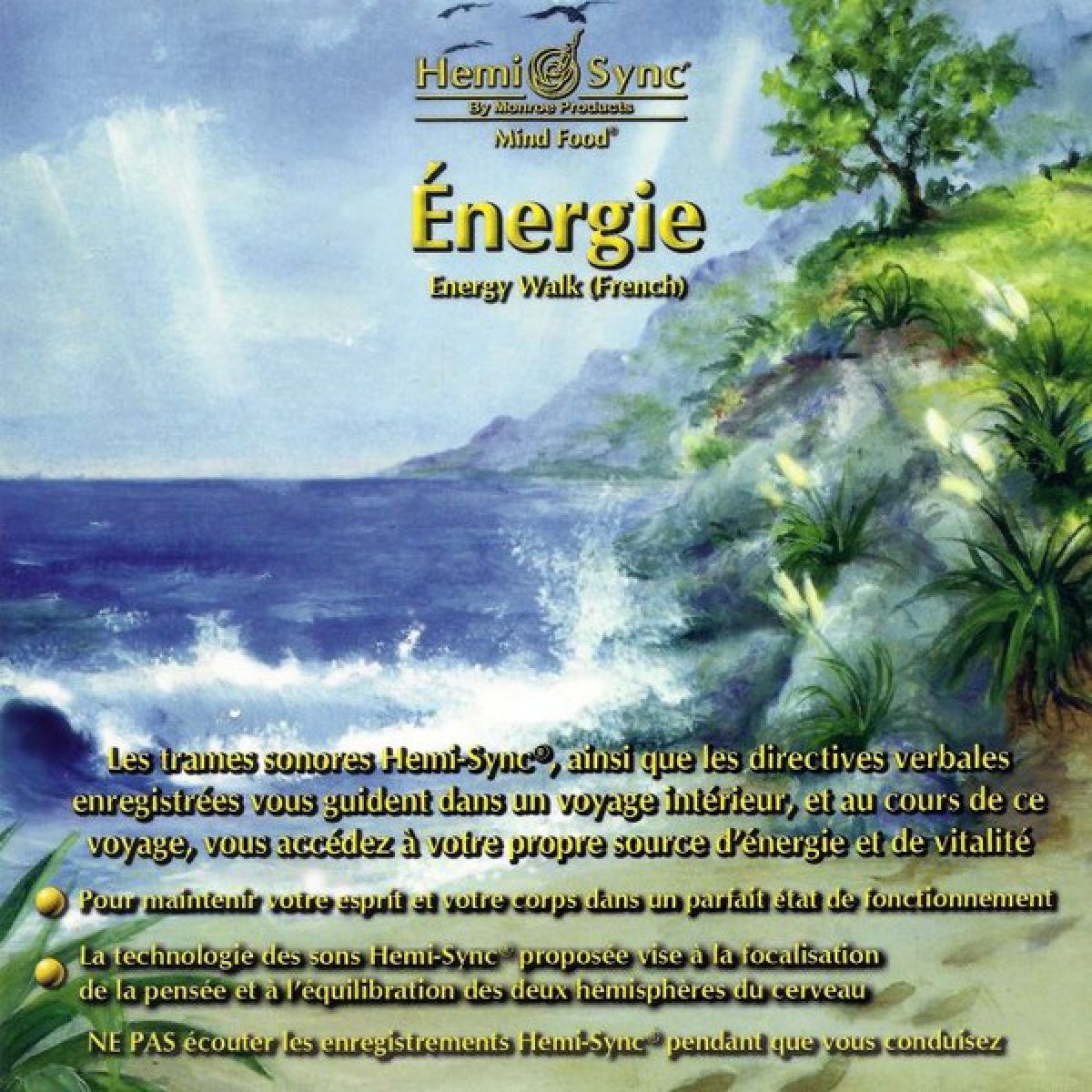 Afbeelding van Various Artists - Énergie (French Energy Walk)