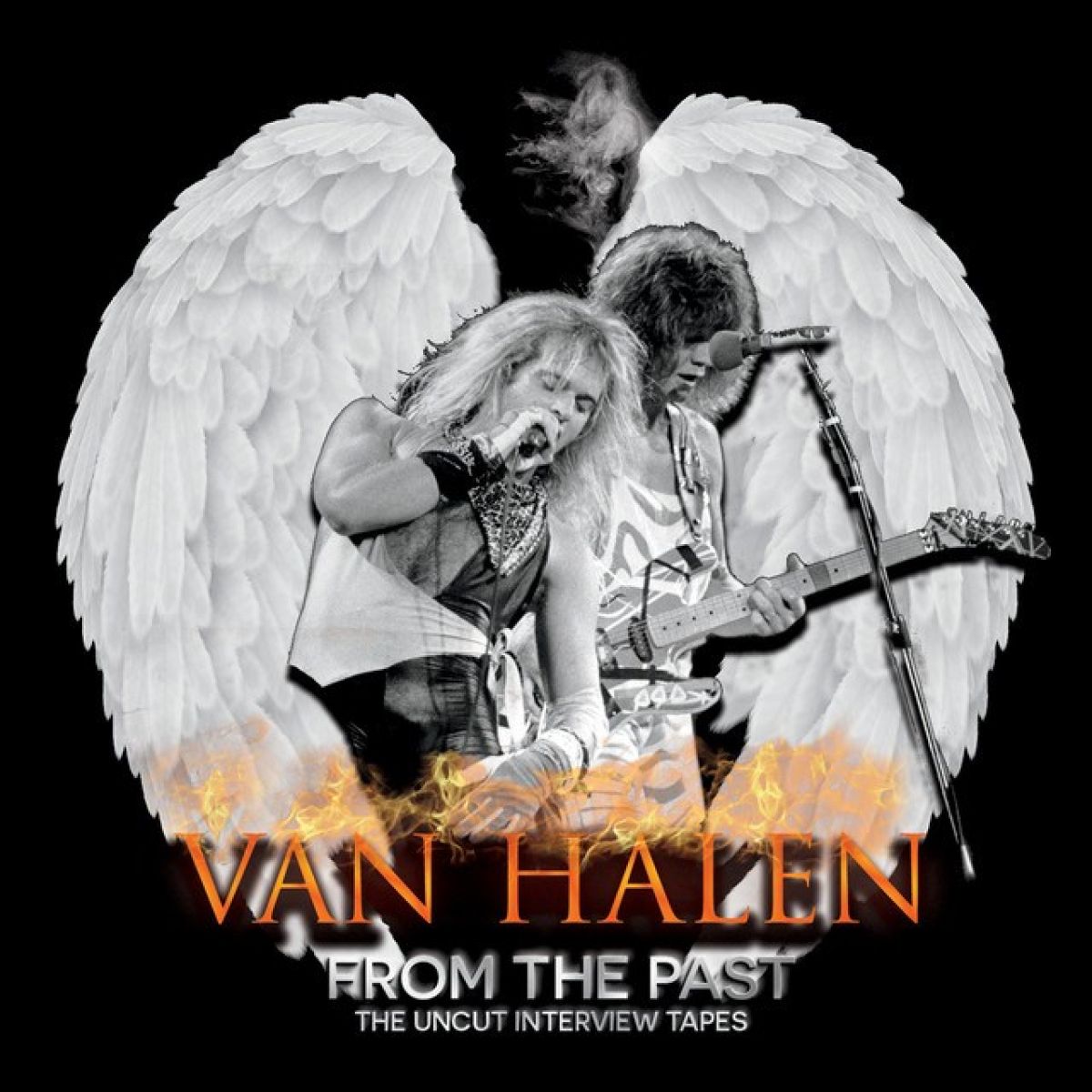 Afbeelding van Van Halen - From the Past (The Uncut Interview Tapes)