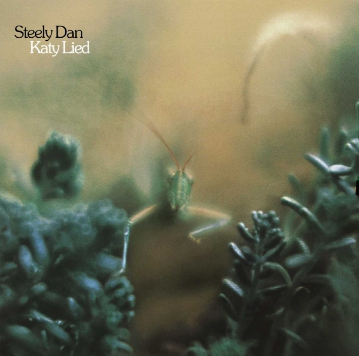 Afbeelding van Steely Dan - Katy Lied