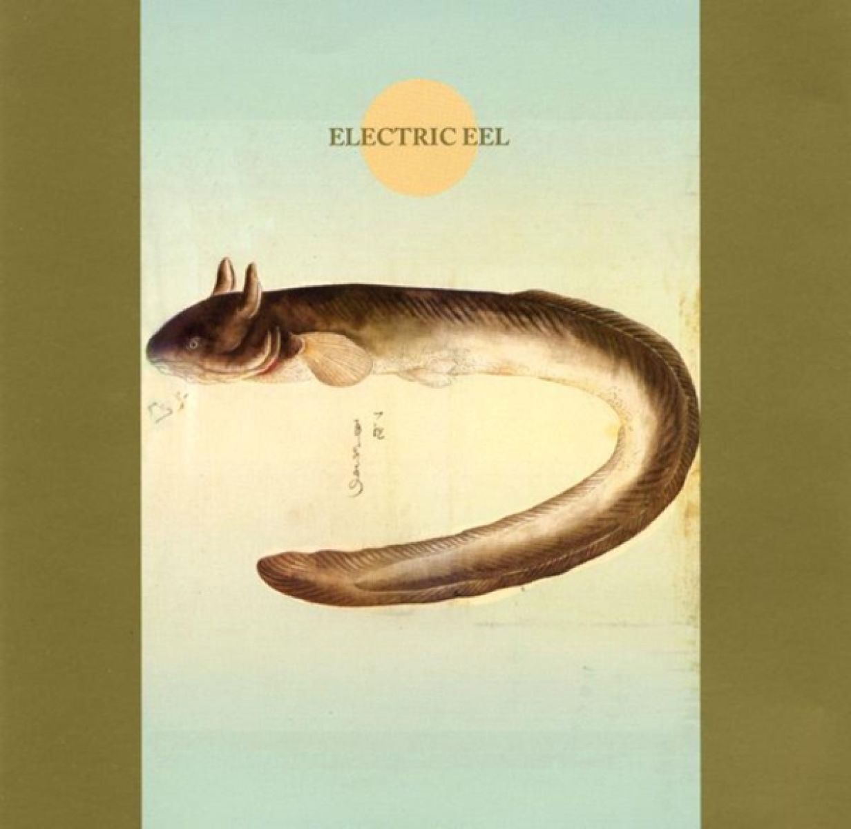 Afbeelding van Makigami Koichi - Electric Eel