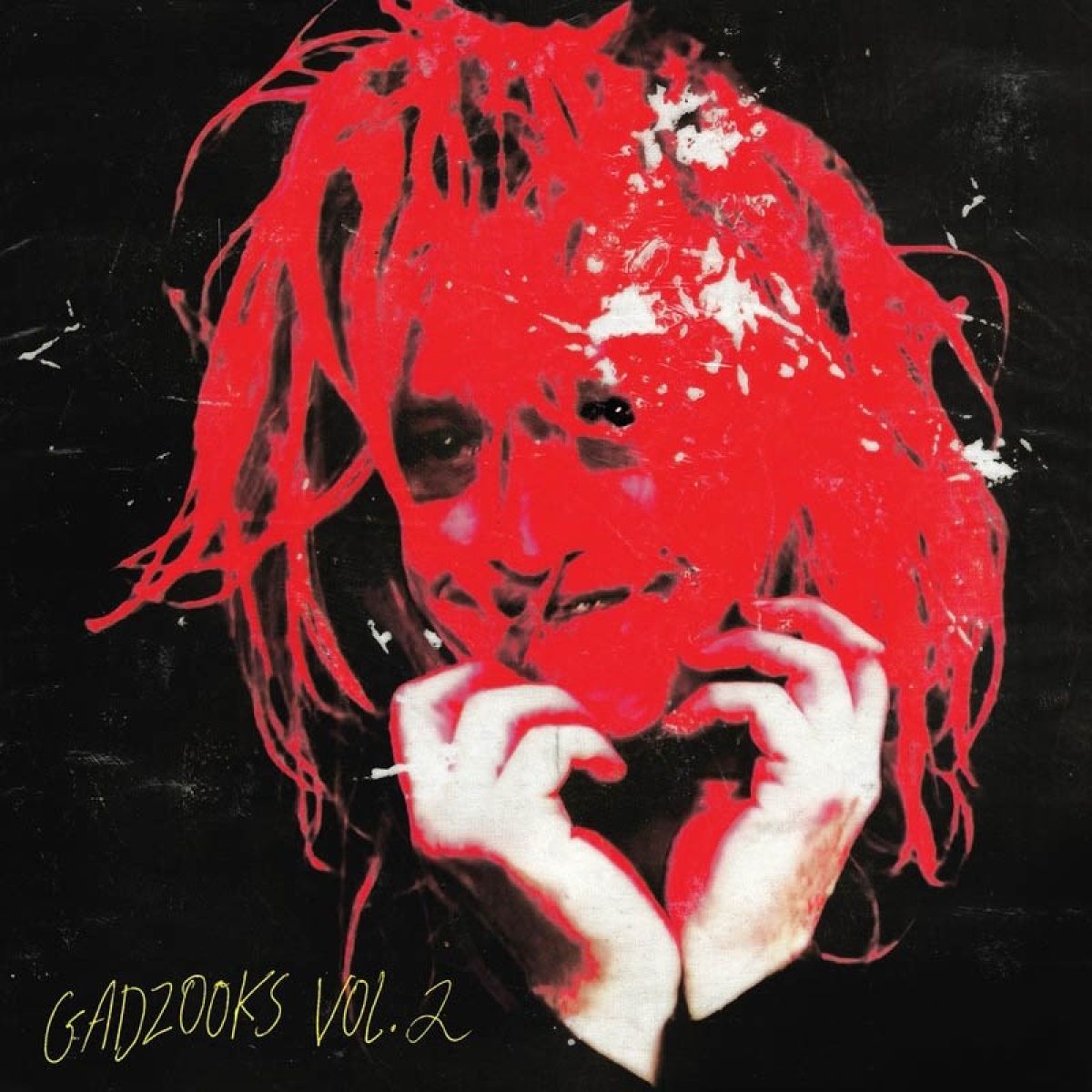 Afbeelding van Caleb Landry Jones - Gadzooks Vol. 2