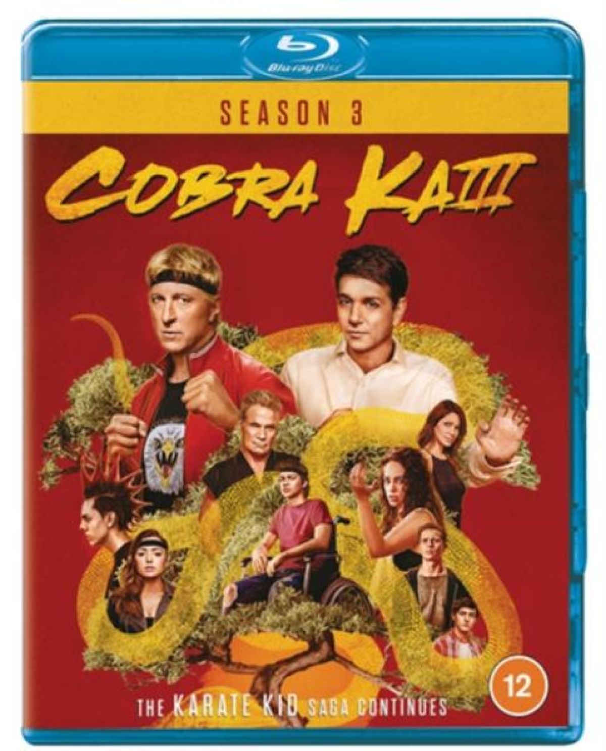 Afbeelding van Cobra Kai - Season 3