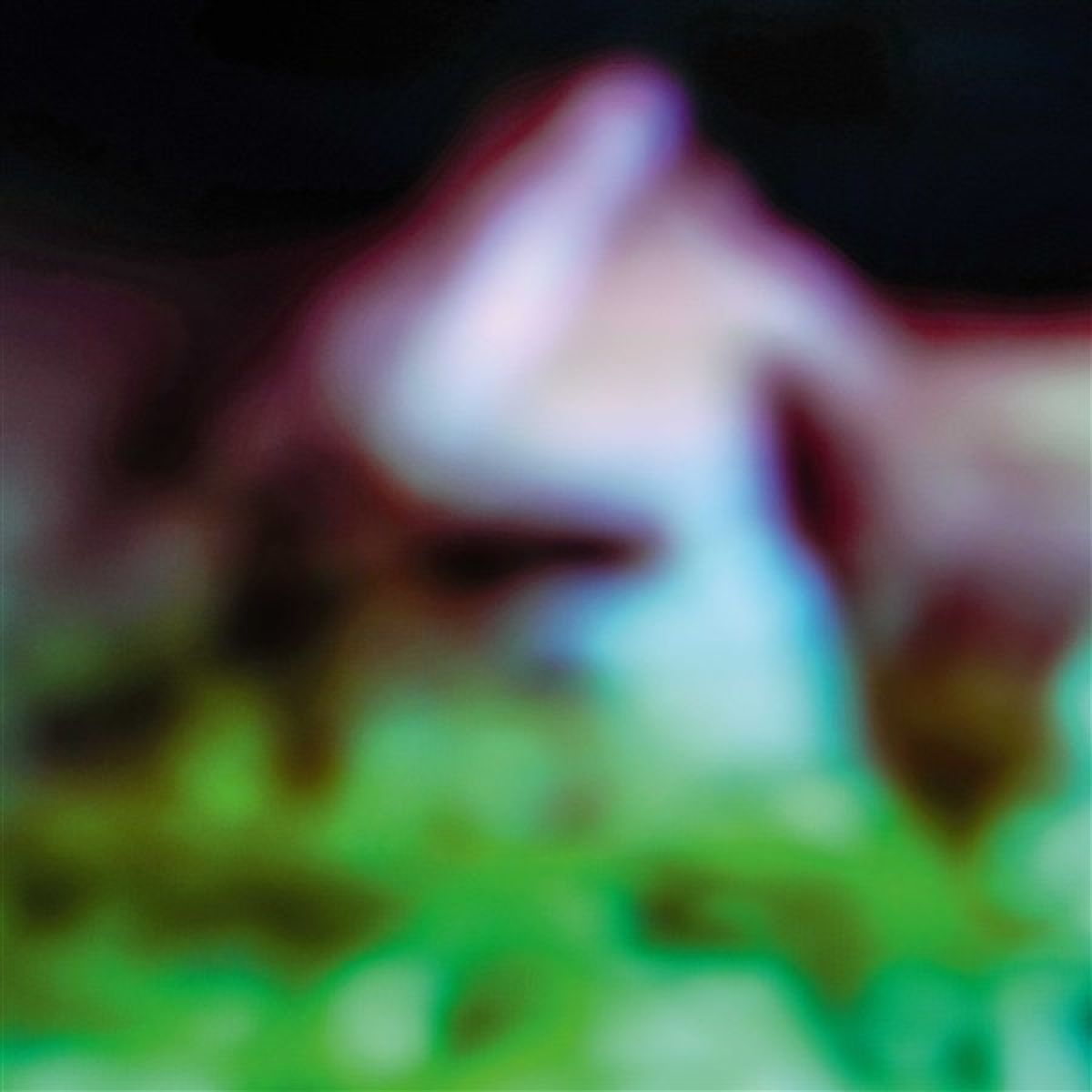 Afbeelding van Hair & Treasure - Disc Rot