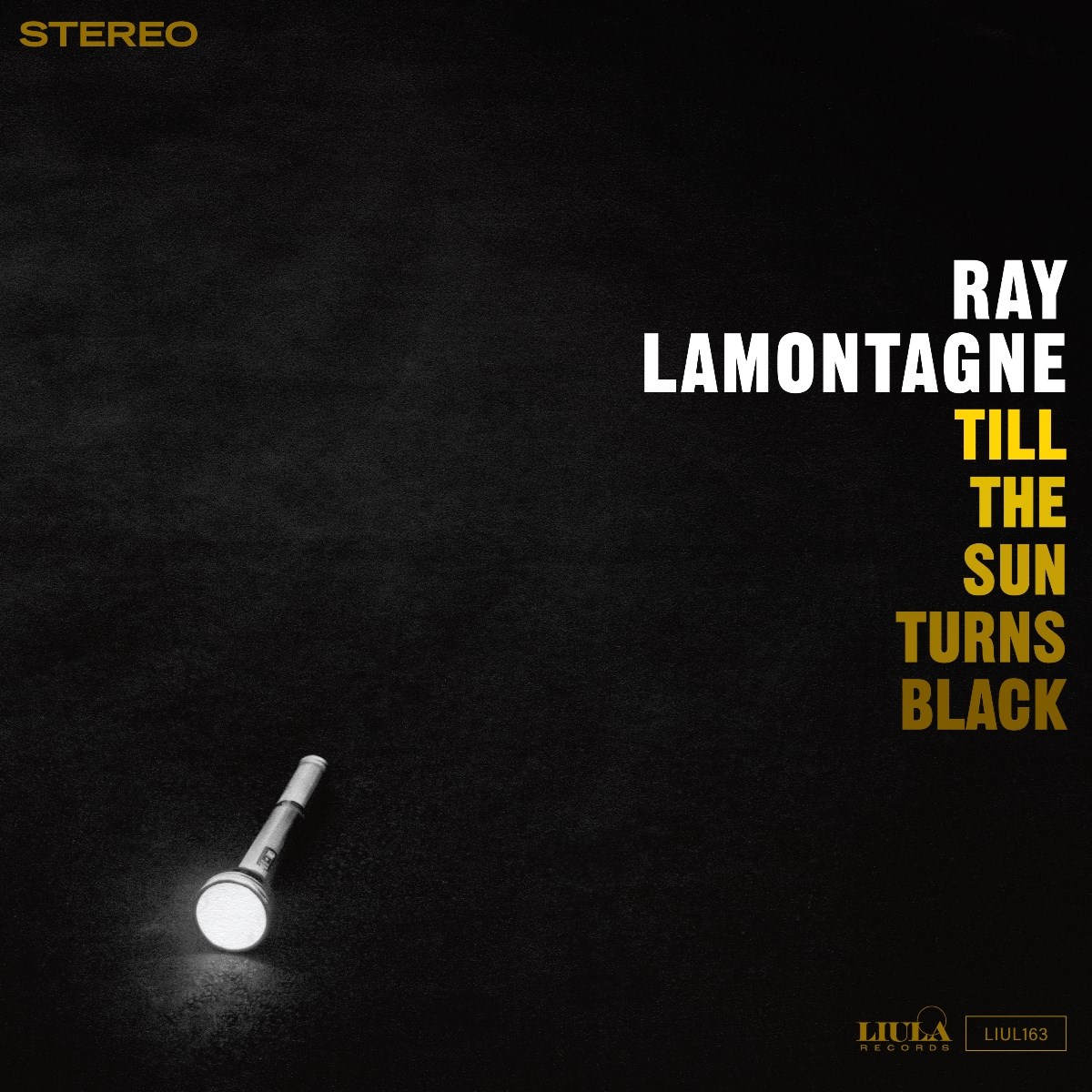 Afbeelding van Ray Lamontagne - Till The Sun Turns Black
