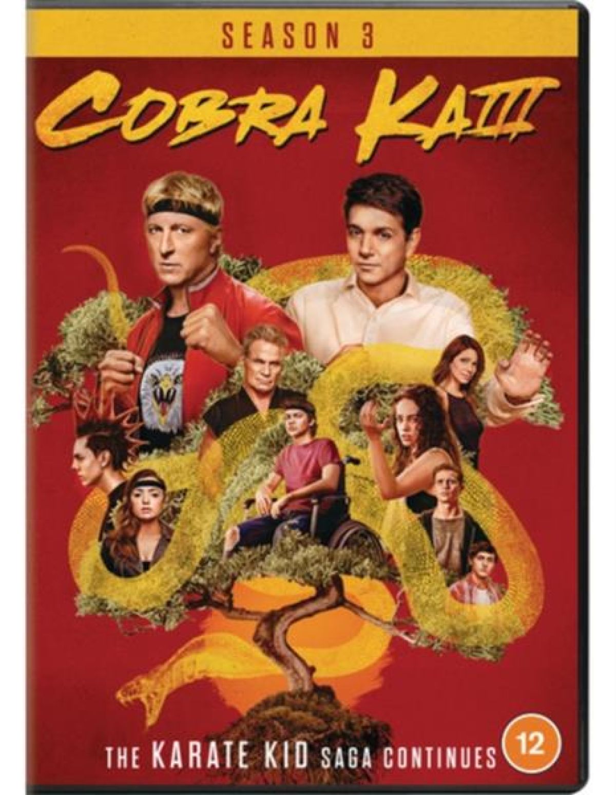 Afbeelding van Cobra Kai - Season 3