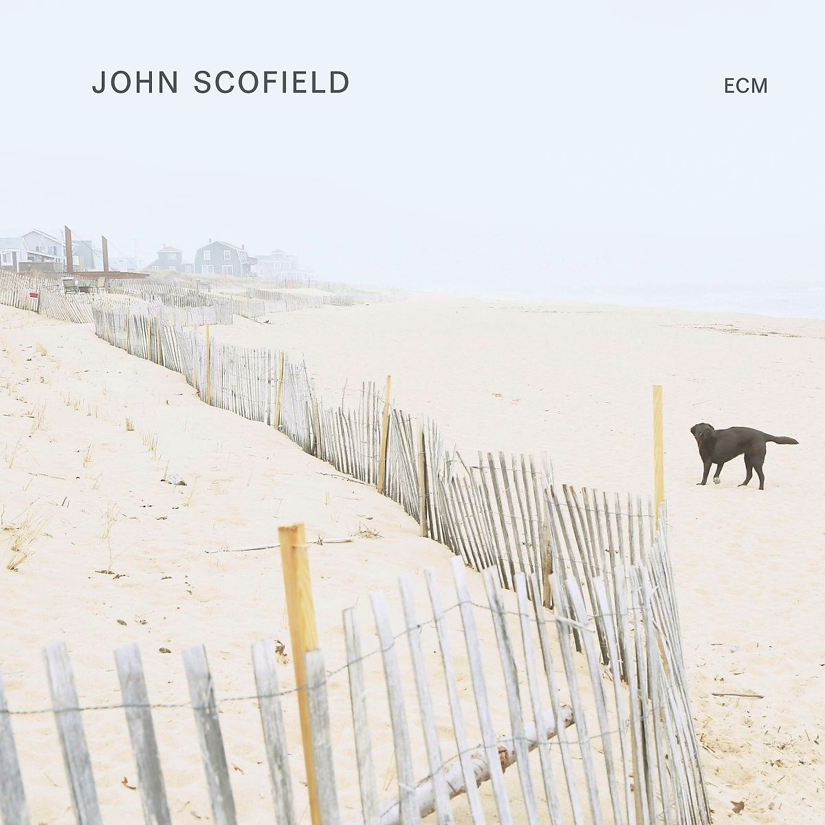Afbeelding van John Scofield - John Scofield