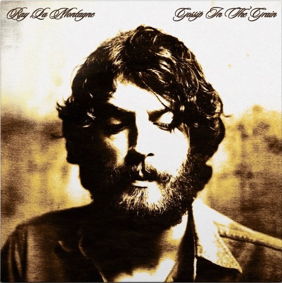 Afbeelding van Ray Lamontagne - Gossip In The Grain