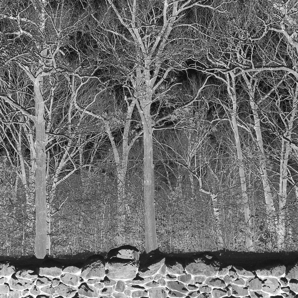 Afbeelding van Pile - Sunshine And Balance Beams