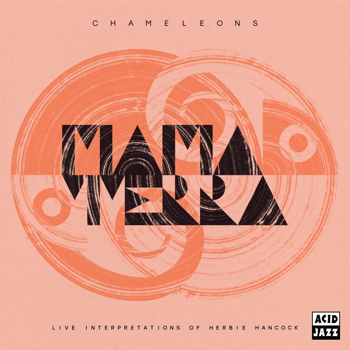 Afbeelding van Mama Terra - Chameleons: Live Interpretations Of Herbie Hancock