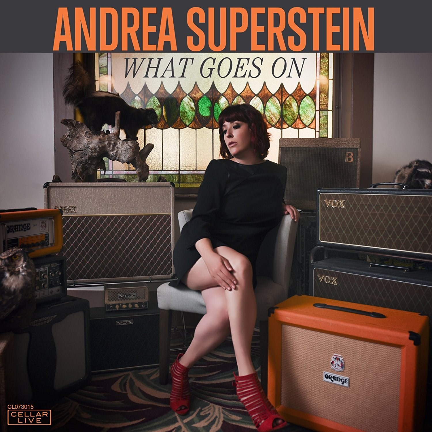 Afbeelding van Andrea Superstein - What Goes On