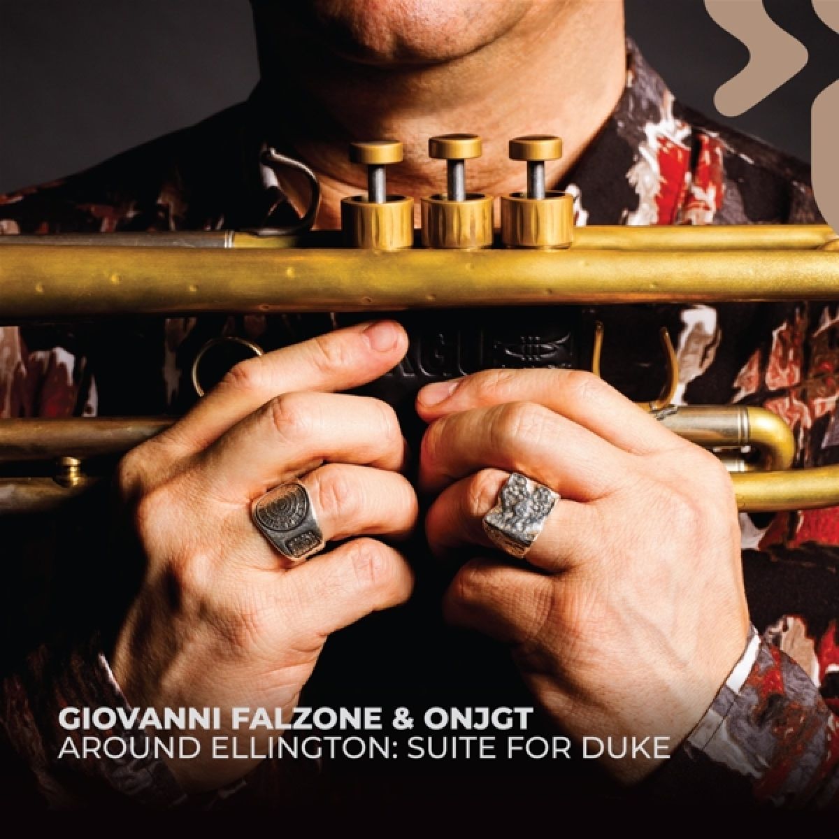 Afbeelding van Giovanni Falzone & Onjgt - Around Ellington: Suite For Duke
