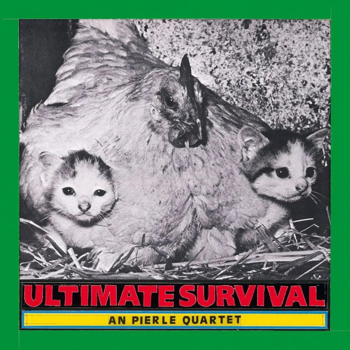An Pierlé Quartet - Ultimate Survival