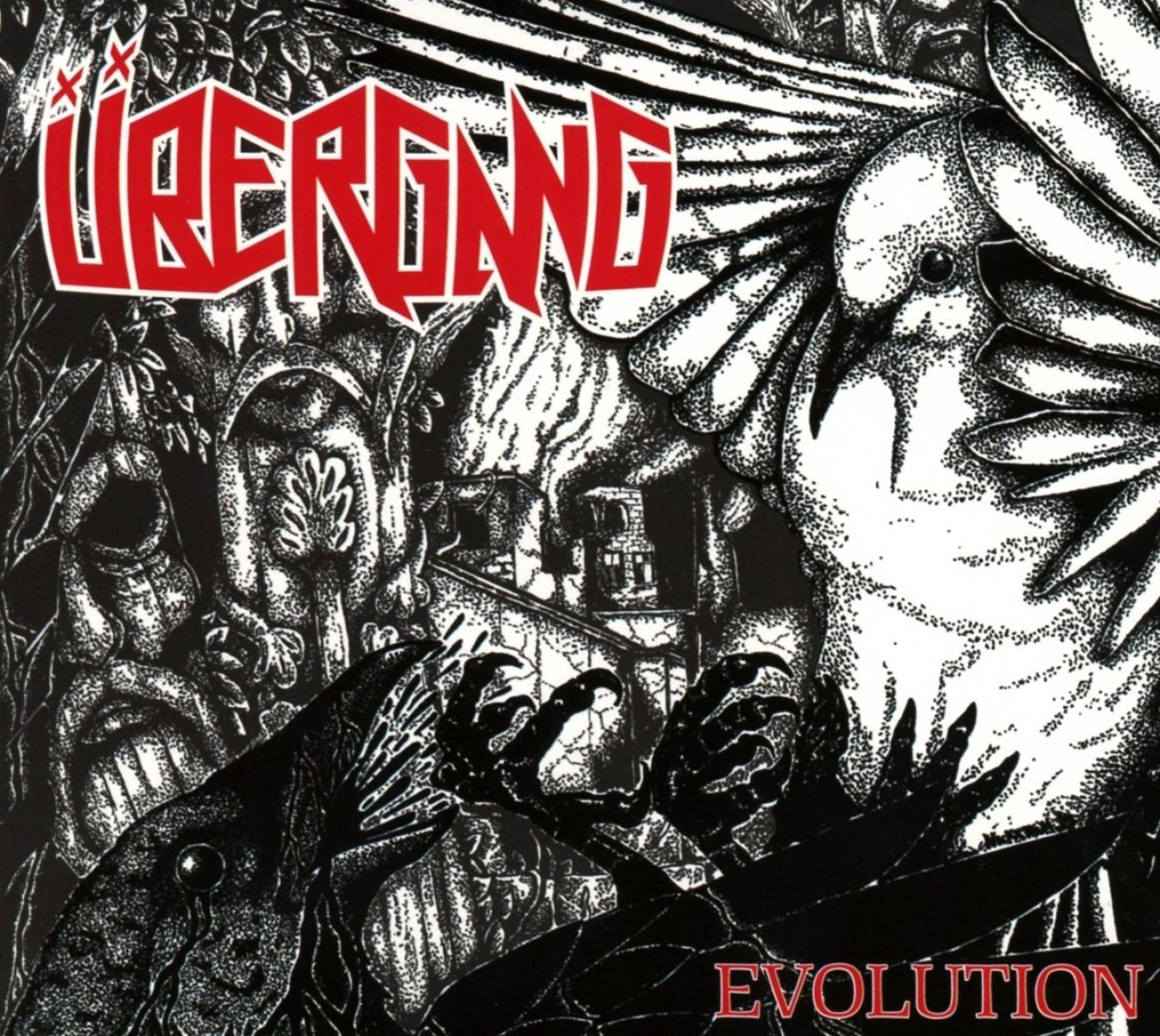 Übergang - Evolution