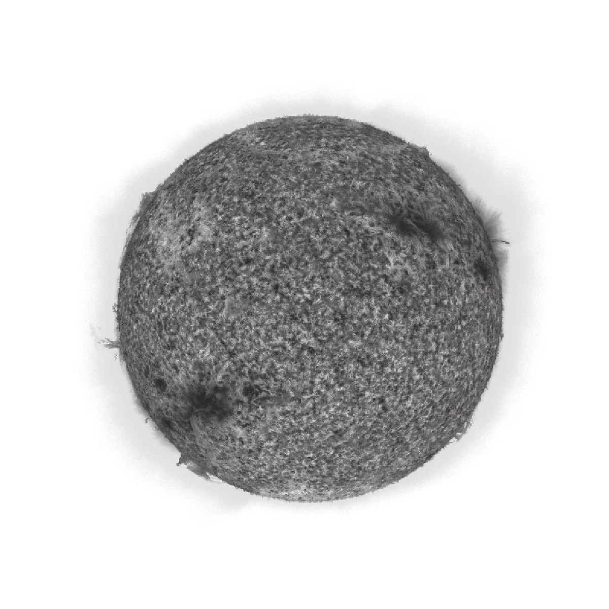 Astralasia/The Use Of Ash - Astralashes