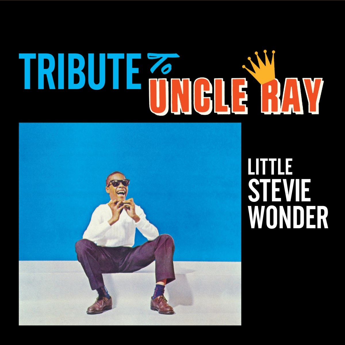 Afbeelding van Tribute To Uncle Ray/The Jazz Soul Of Little Stevie