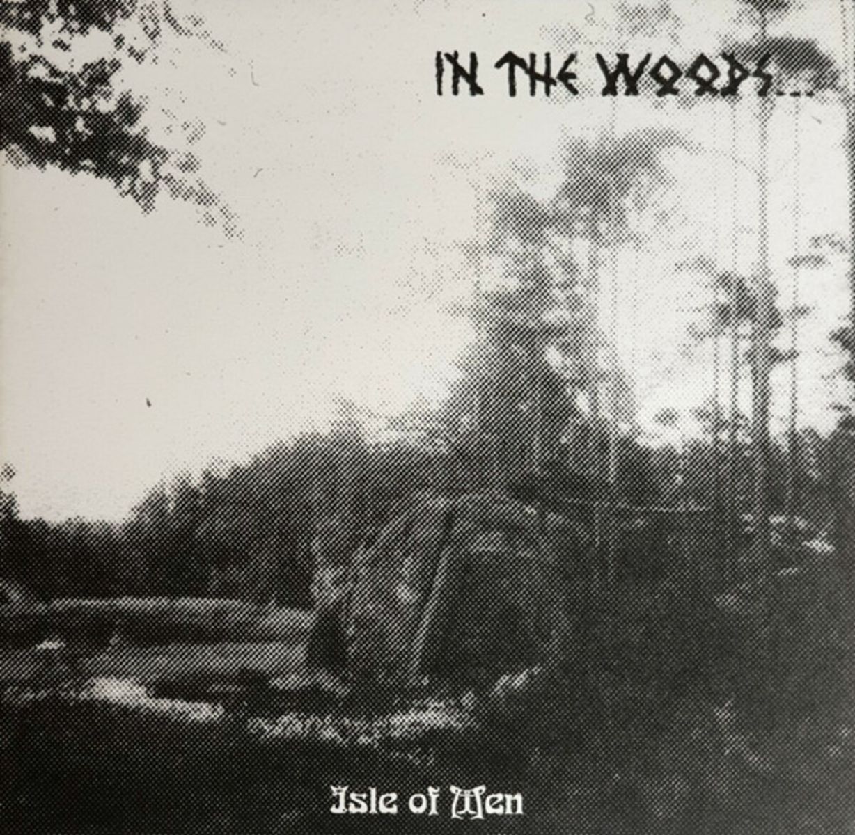 Afbeelding van In The Woods... - Isle Of Men