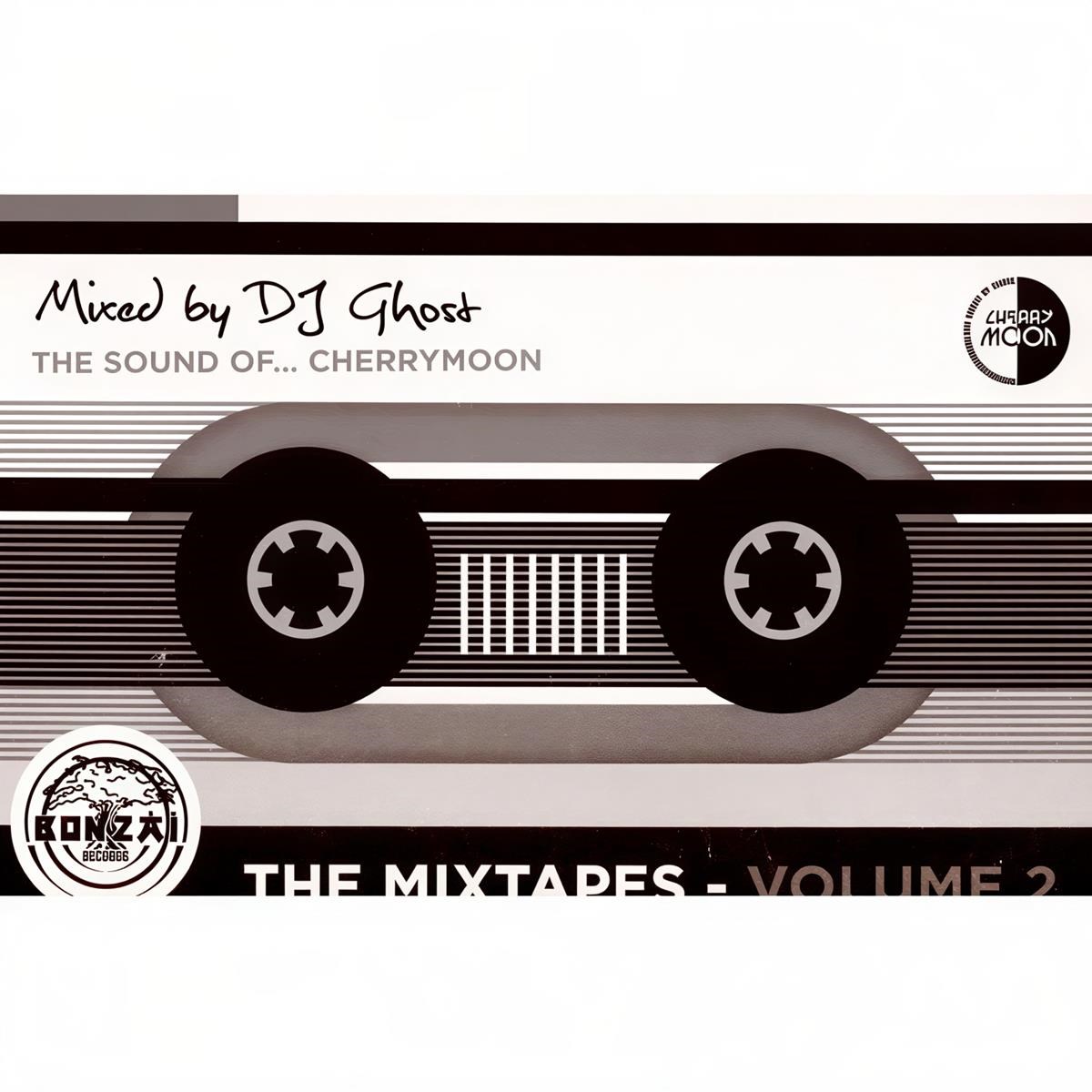 Afbeelding van Various Artists - The Mixtapes: Volume 2 (Mixed By DJ Ghost)