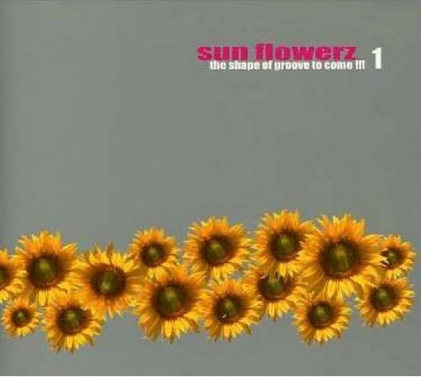 Afbeelding van Various Artists - Sun Flowerz 1