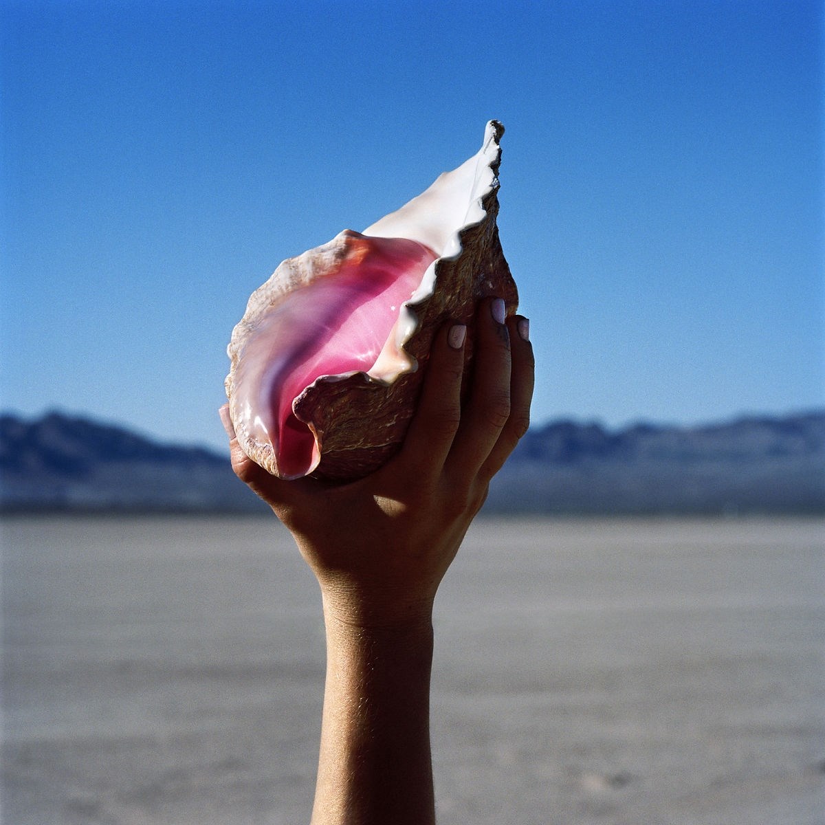Afbeelding van The Killers - Wonderful Wonderful