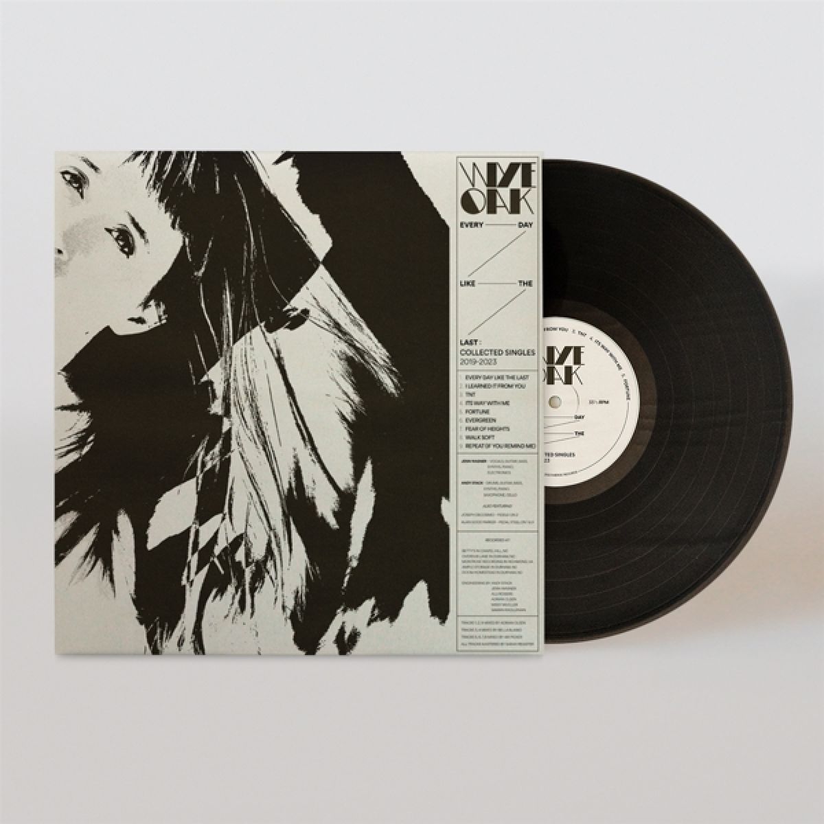 Afbeelding van Wye Oak - Every Day Like The Last (Singles 2019-2023)