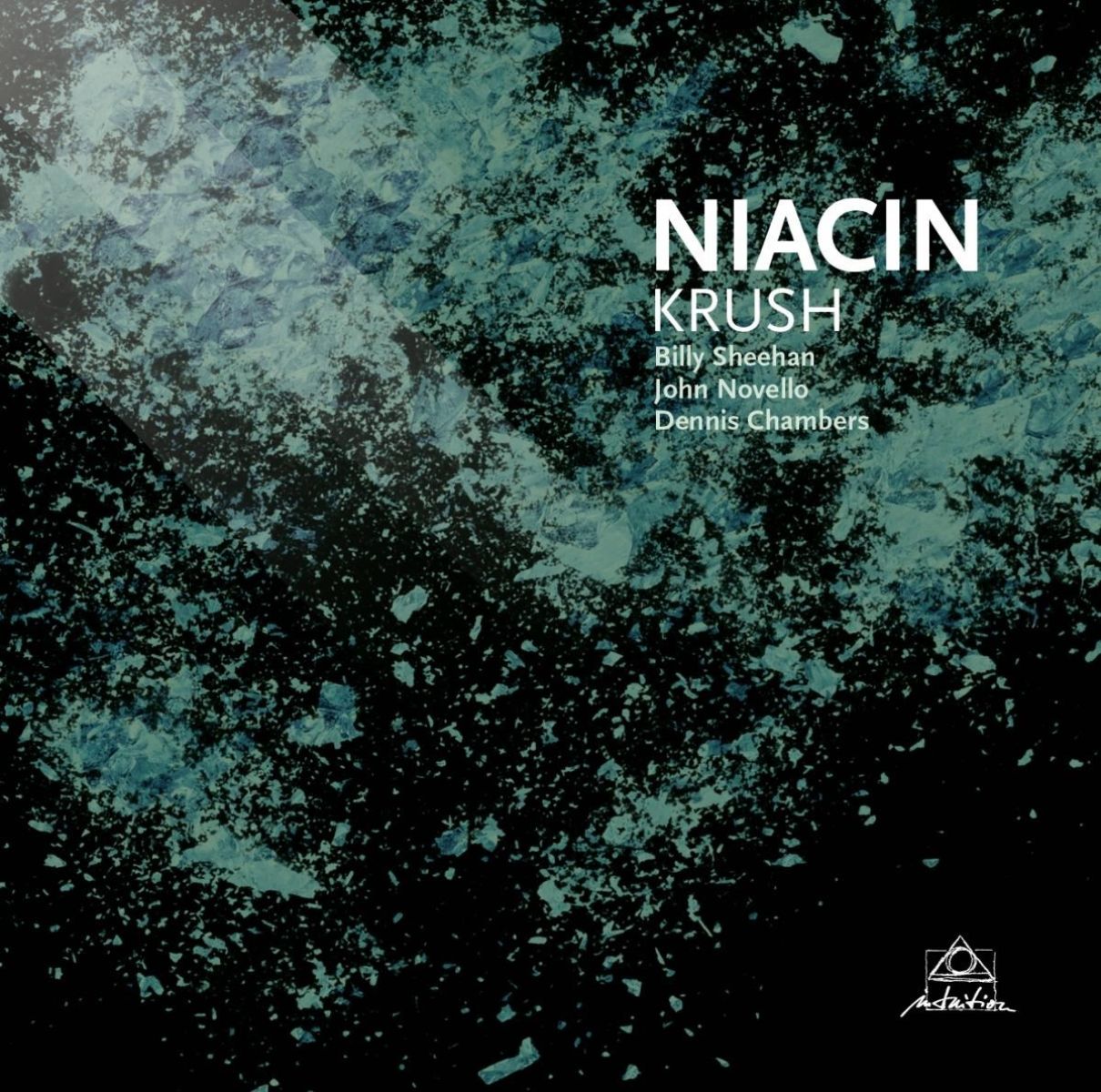 Afbeelding van Niacin, Billy Sheehan, John Novello, Dennis Chambers - Krush