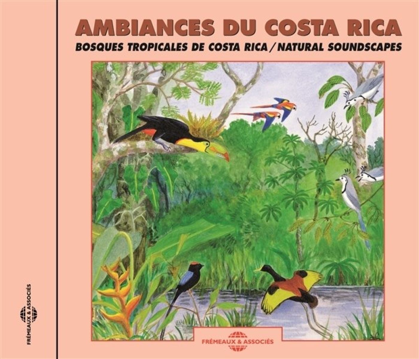 Sound Effects Birds - Ambiances Du Costa Rica
