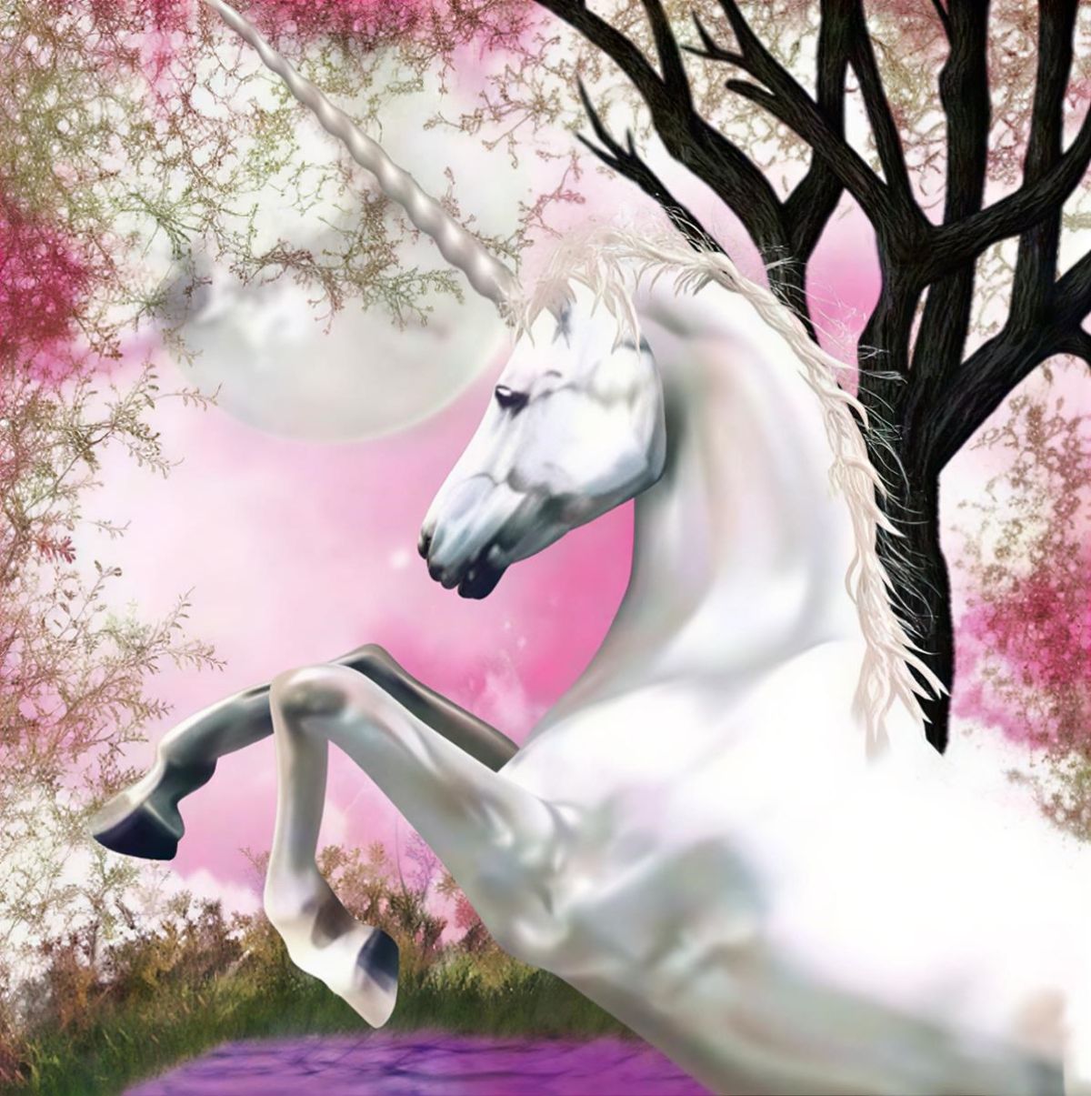 Relaxing Inspirational Music - Unicorn Card 1