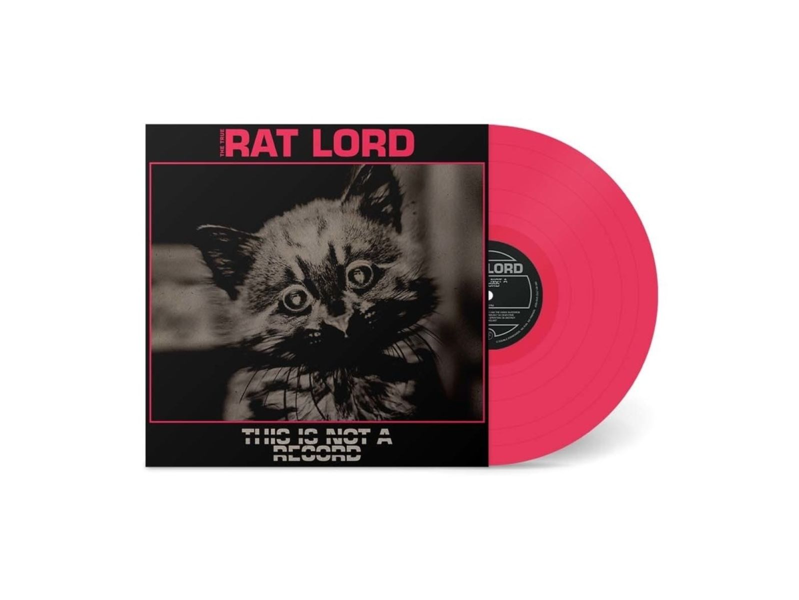 Rat Lord - This Is Not a Record