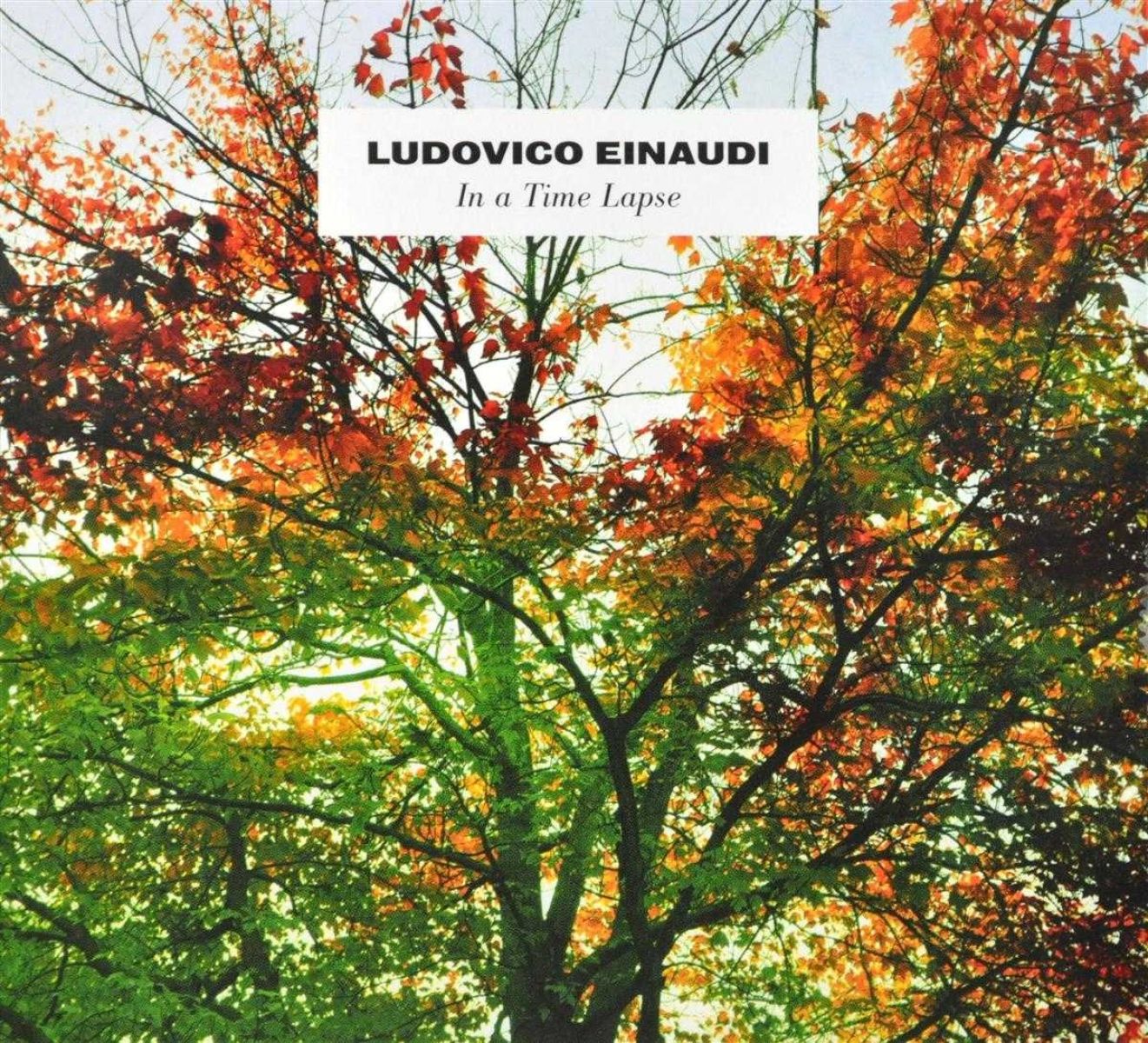 Afbeelding van Ludovico Einaudi - In A Time Lapse