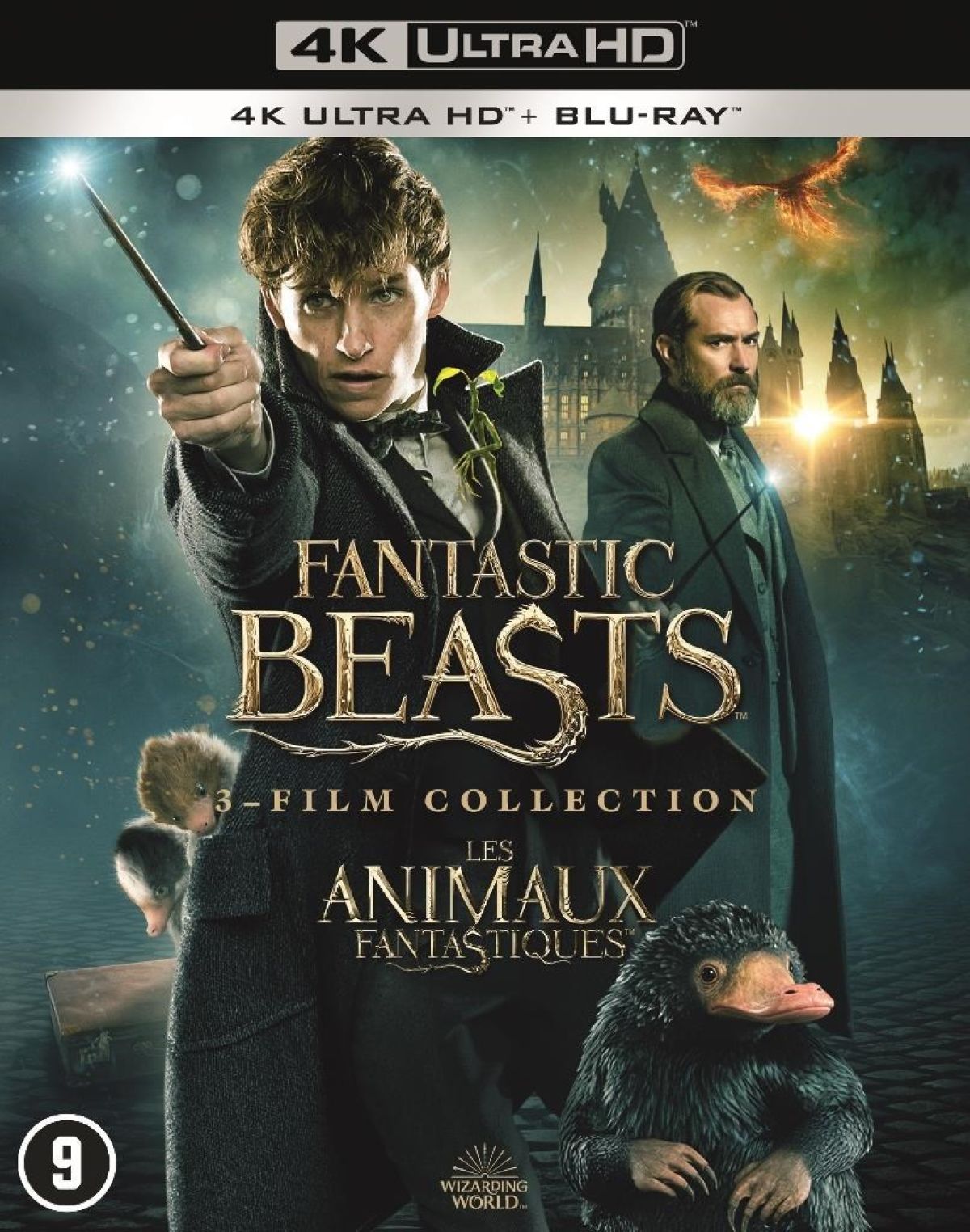 Fantastic Beasts 1 - 3