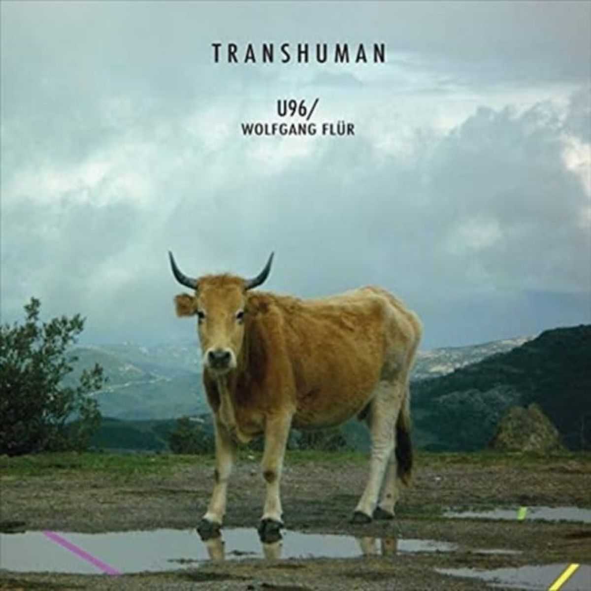 Afbeelding van U96 & Wolfgang Flür - Transhuman