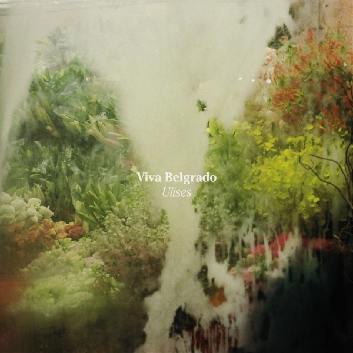 Afbeelding van Viva Belgrado - Ulises
