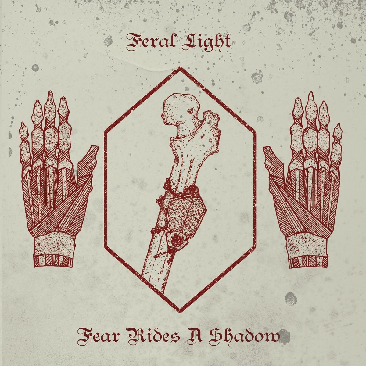Afbeelding van Feral Light - Fear Rides A Shadow