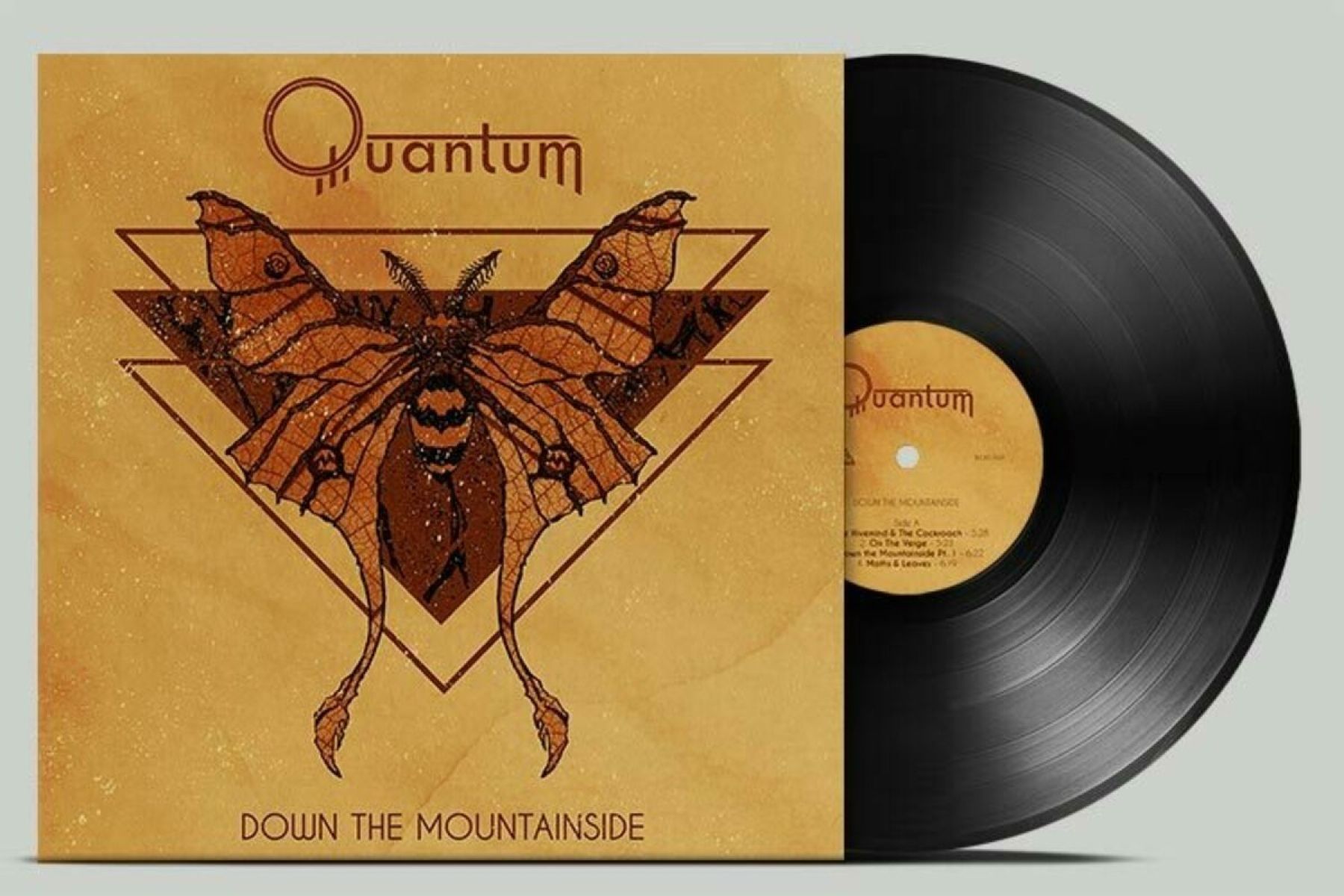Afbeelding van Quantum - Down The Mountainside