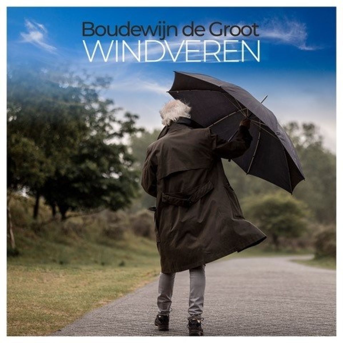 Afbeelding van Boudewijn De Groot - Windveren