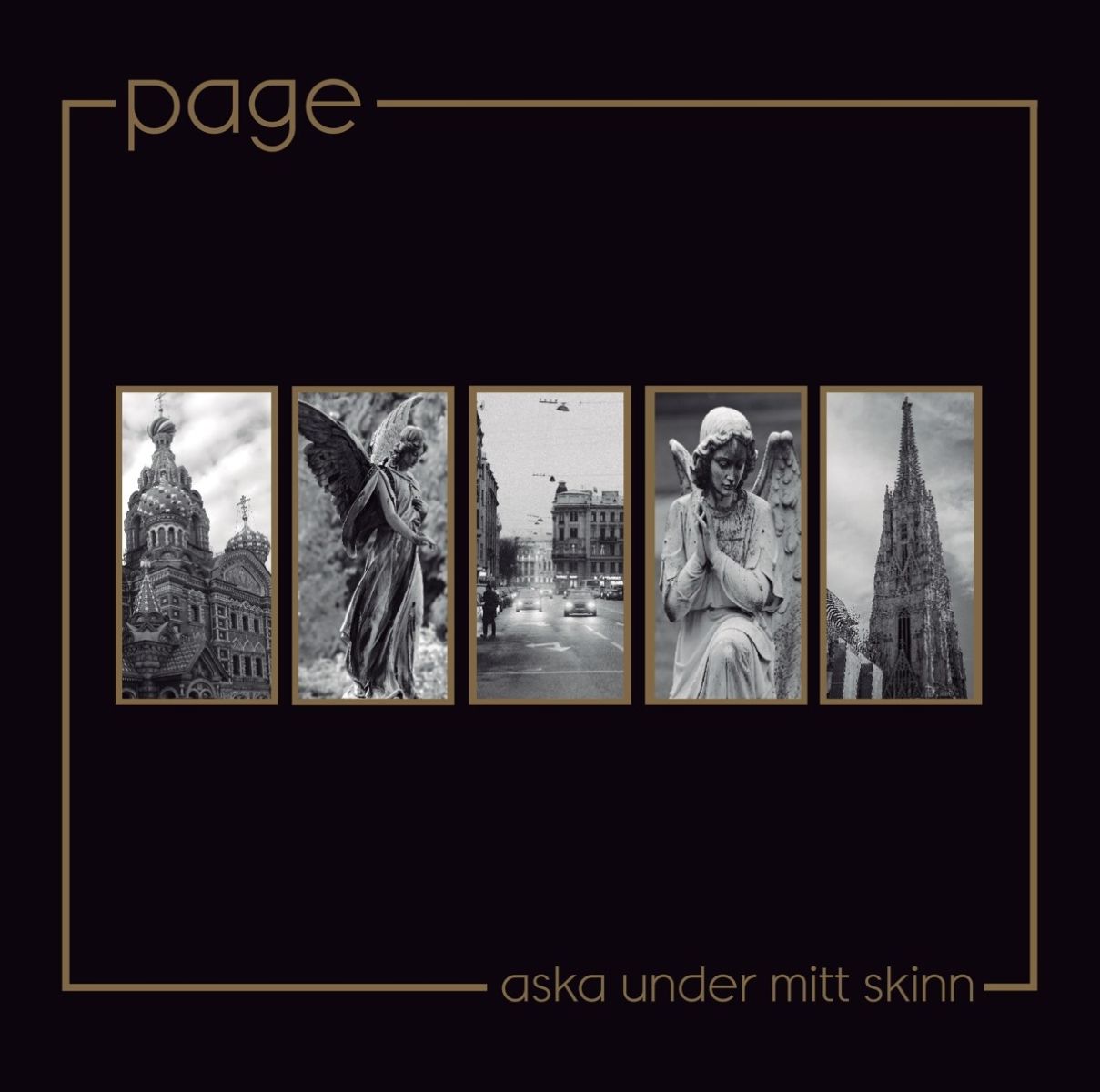 Afbeelding van Aska Under Mitt Skinn