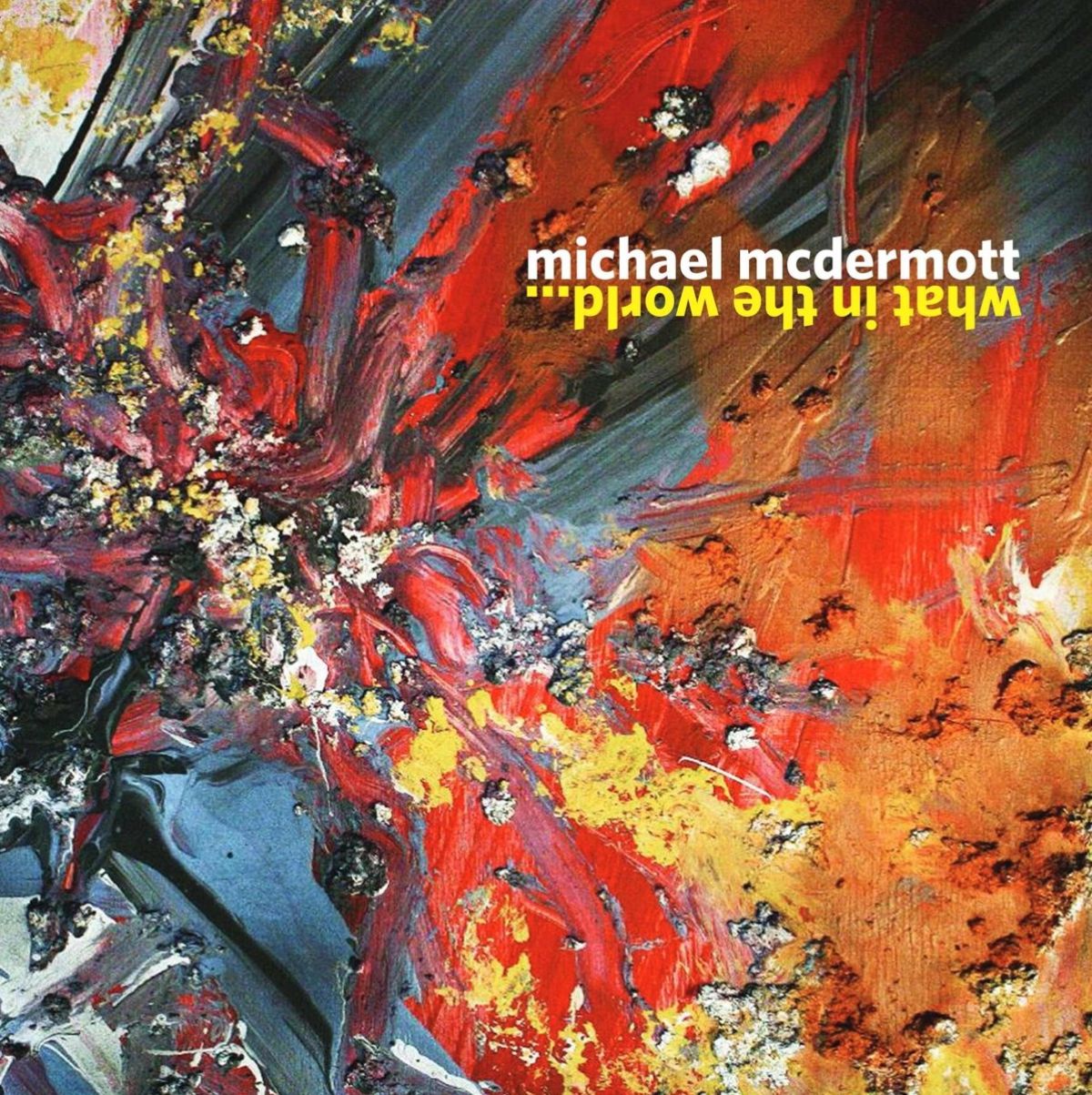 Michael McDermott - What In The World ...