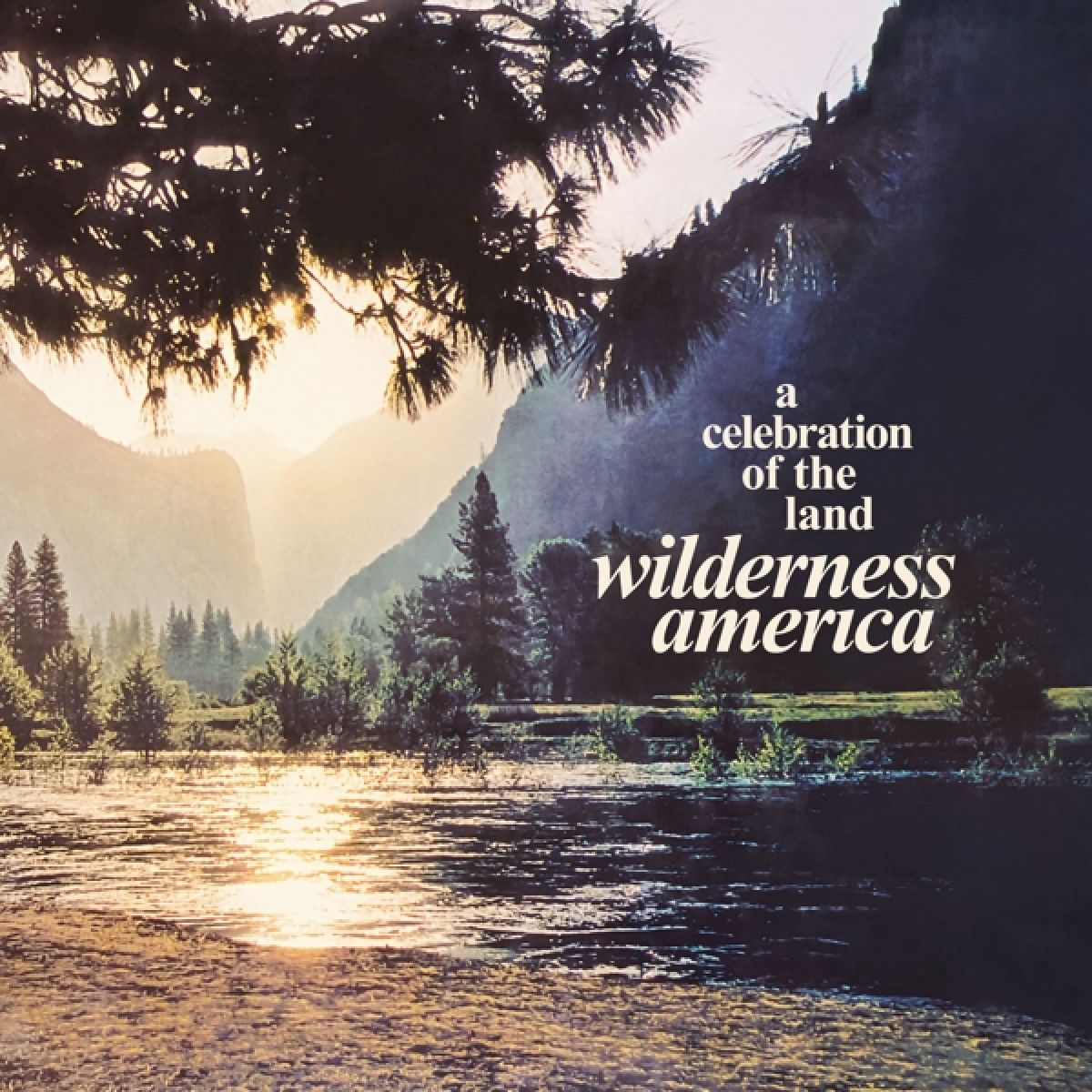 Afbeelding van Various Artists - Wilderness America, A Celebration Of The Land