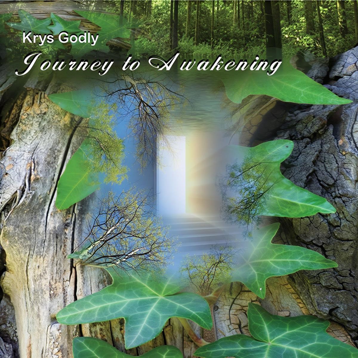 Krys Godly - Journey To Awakening