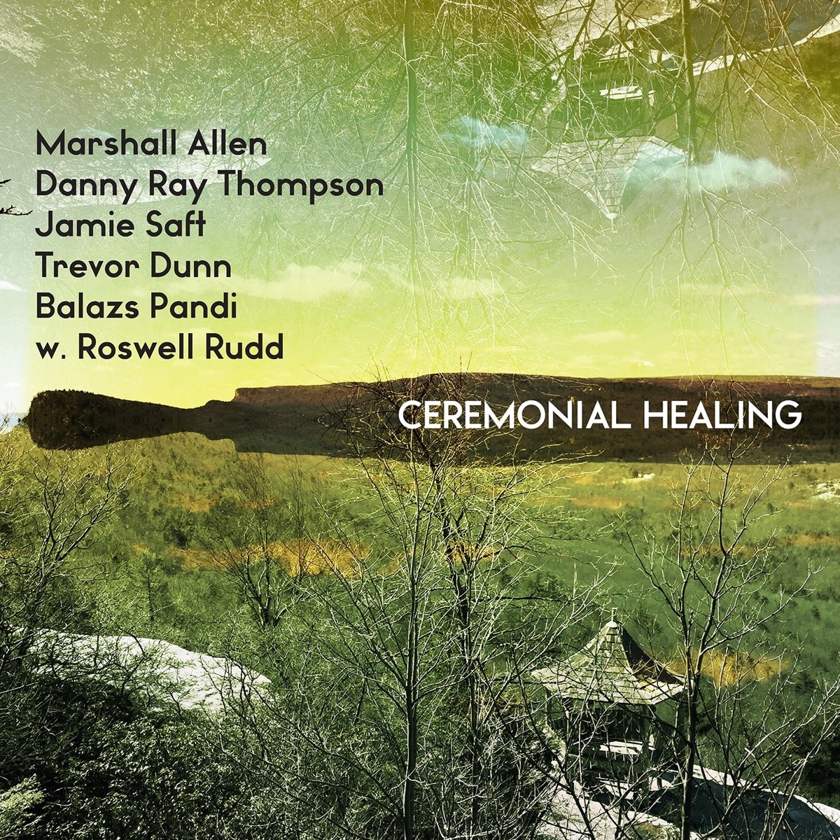 Various Artists - Ceremonial Healing