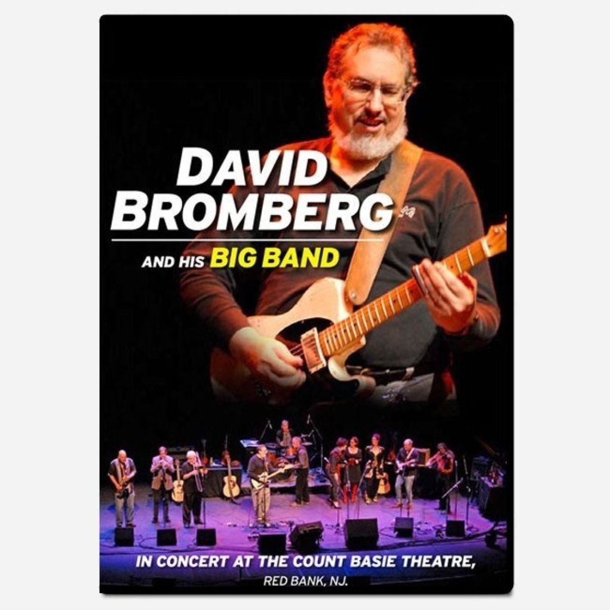 David Bromberg & His Big Band - In Concert At The Count Basie Theatre. Red Bank, NJ