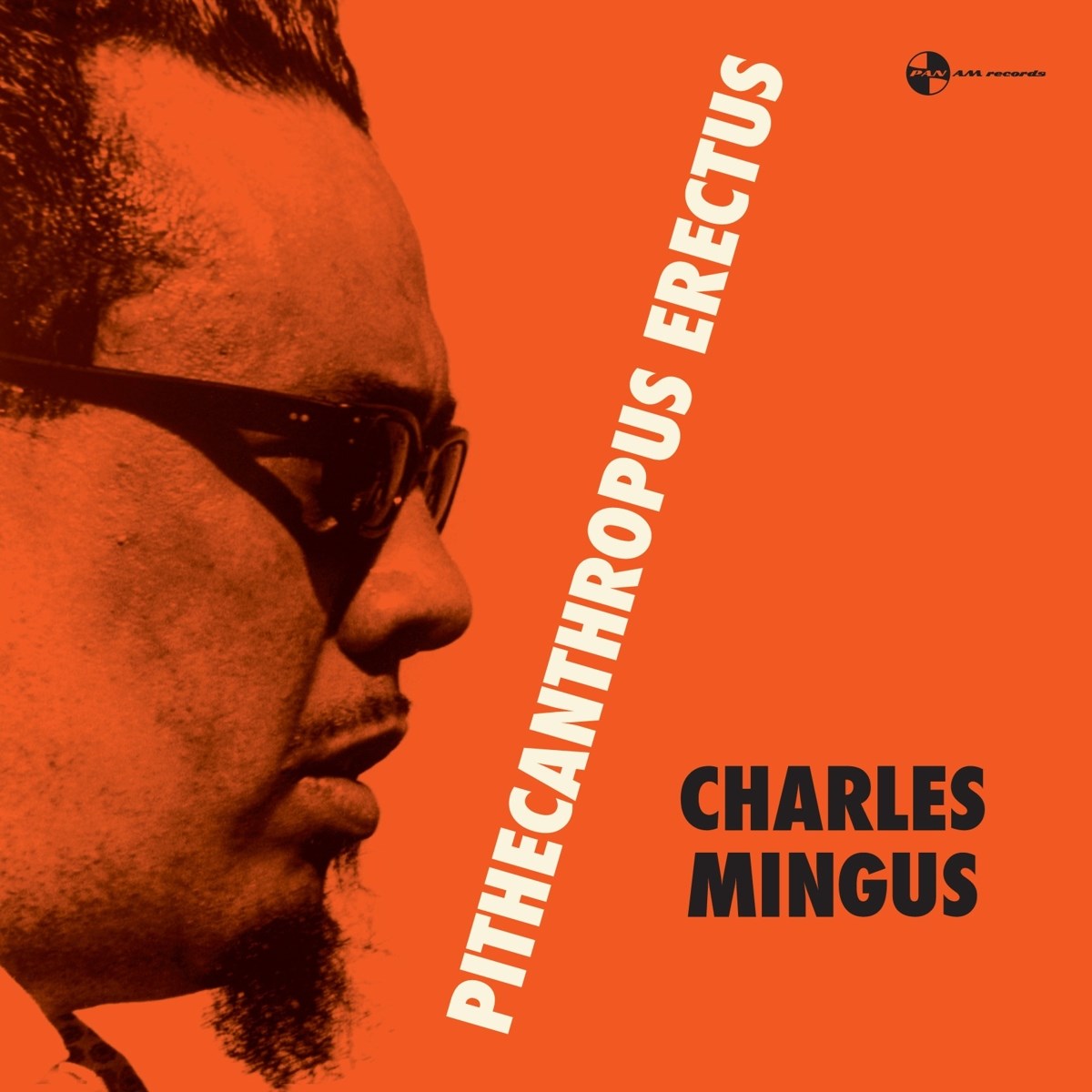 Afbeelding van Charles Mingus - Pithecanthropus Erectus
