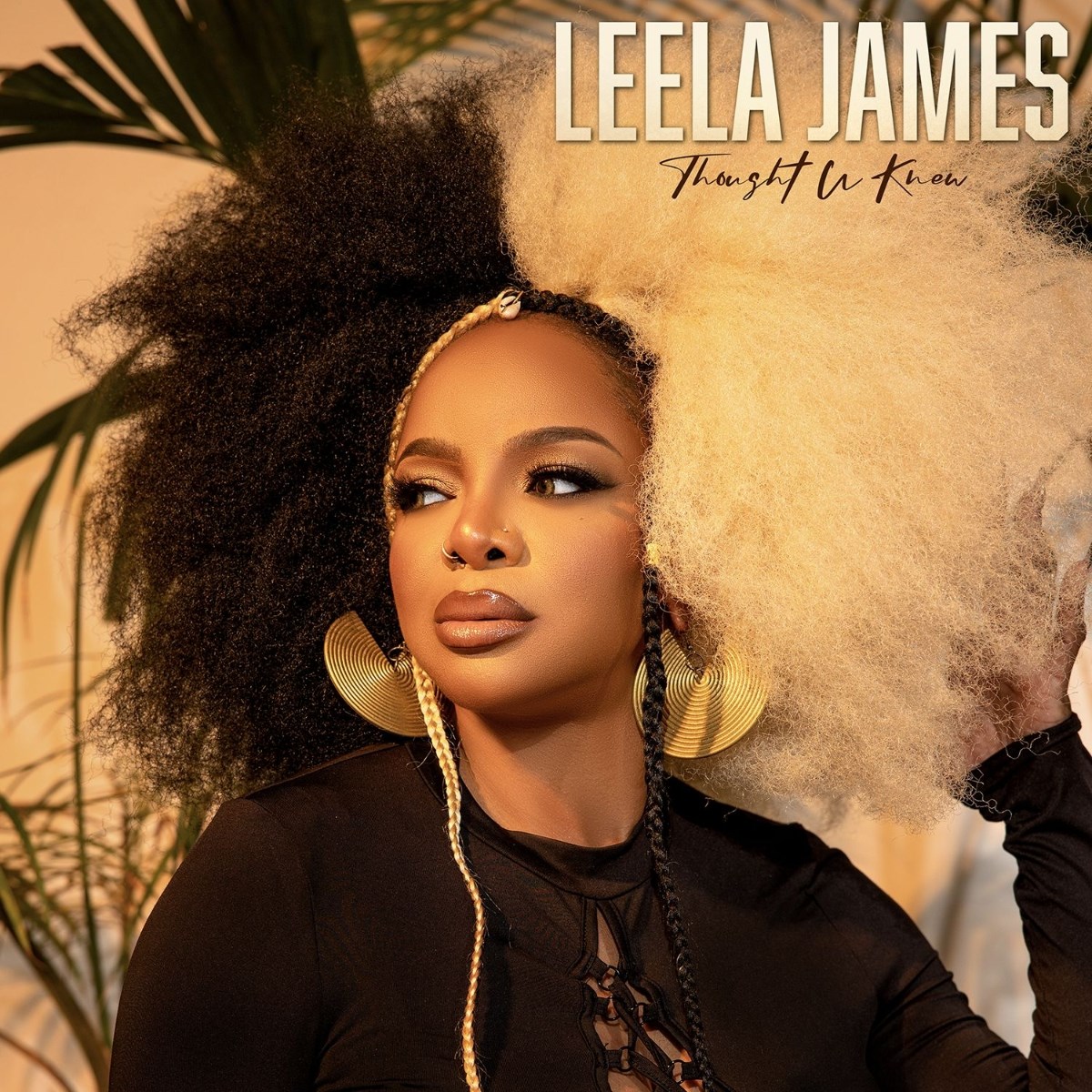 Afbeelding van Leela James - Thought U Knew