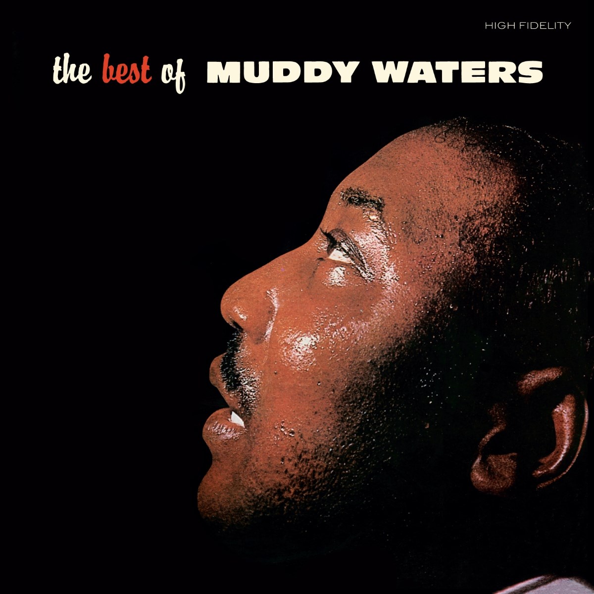 Afbeelding van The Best Of Muddy Waters