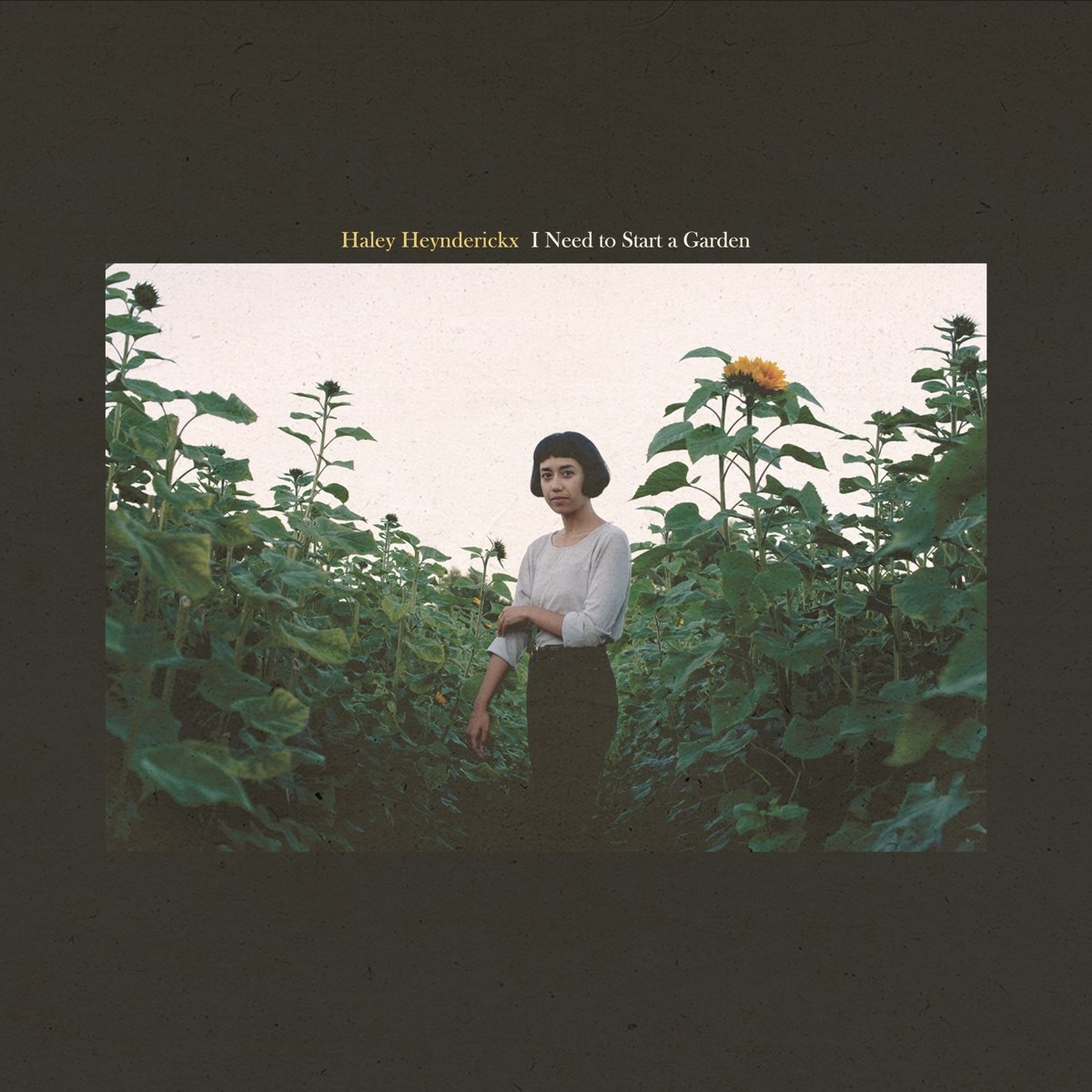 Afbeelding van Haley Heynderickx - I Need To Start A Garden