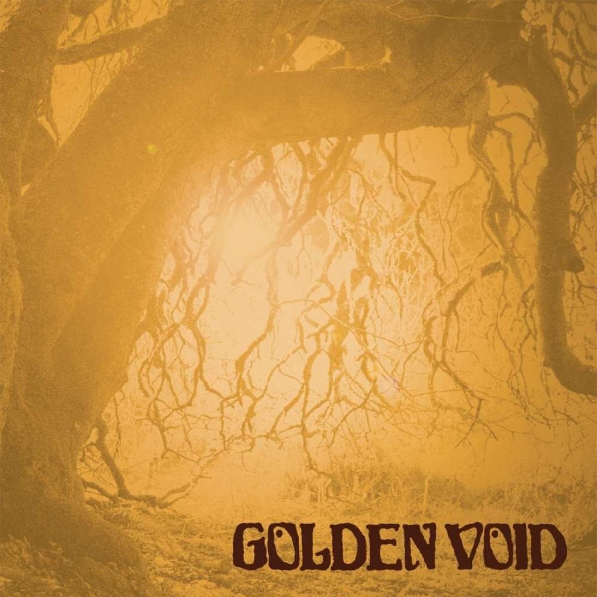 Afbeelding van Golden Void - Golden Void